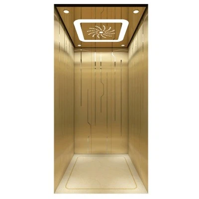 400 kg MR FUJI Home Elevator